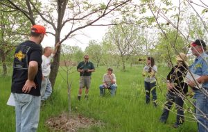 education in orchard