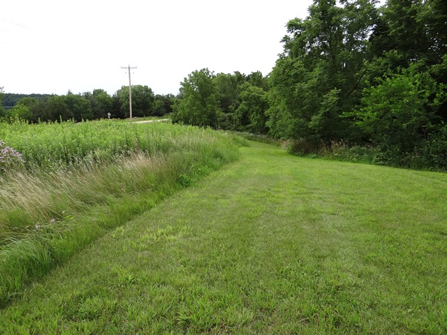 A section of prairie and timber on Steve Beaumont's land.