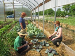 Three young farmers in hoop house