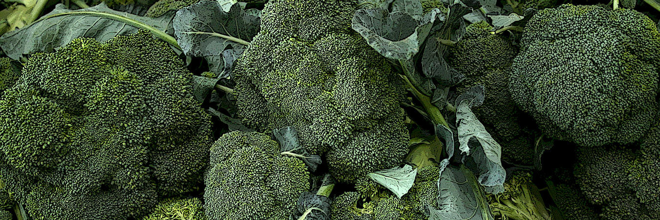 Image of an assortment of broccoli from the SILT landowners guide.