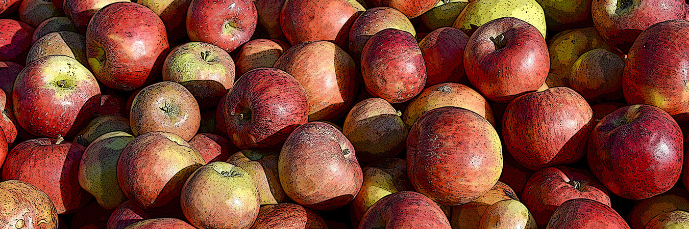An assortment of apples in a pile.