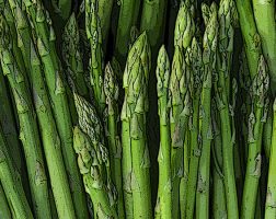 Image of an assortment of asparagus from the SILT landowners guide.