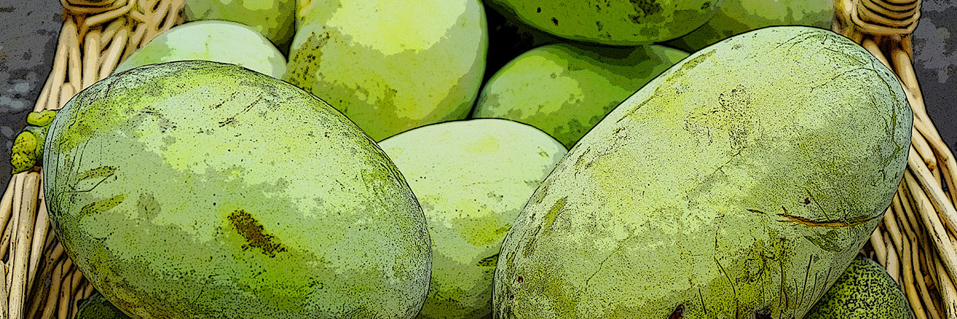 An assortment of pawpaws in a basket.