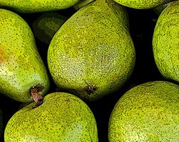 Image of an assortment of pears from the SILT landowners guide.