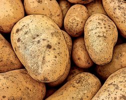 Image of an assortment of potatoes from the SILT landowners guide.