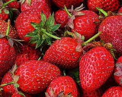 An assortment of strawberries in a pile.