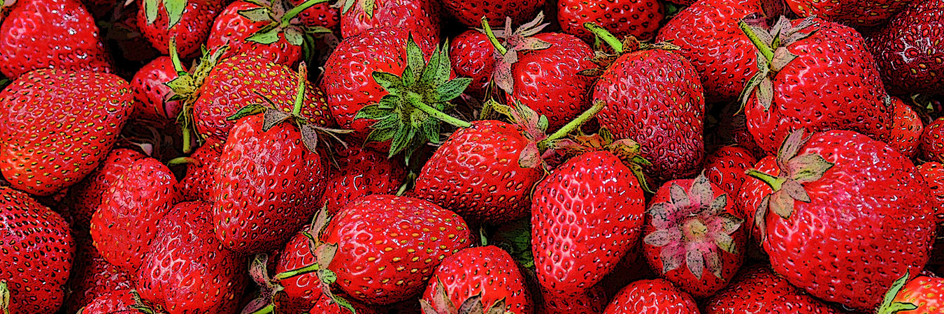 An assortment of strawberries in a pile.
