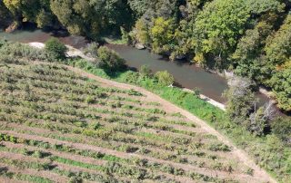 SILT Sustainable Iowa Land Trust Stream Buffer 1