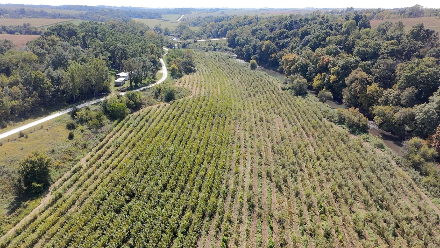 SILT Sustainable Iowa Land Trust Stream Buffer 2
